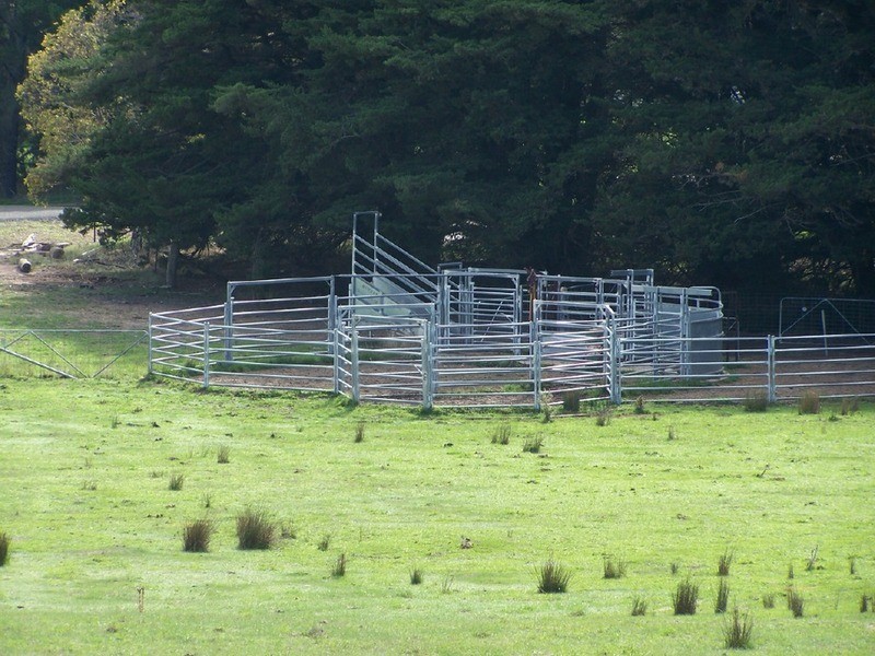 Peppermint Farm Bannister  Lane, Gurrundah NSW 2581