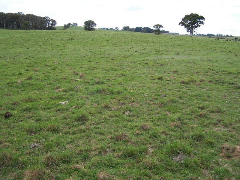 Peppermint Farm Bannister  Lane, Gurrundah NSW 2581