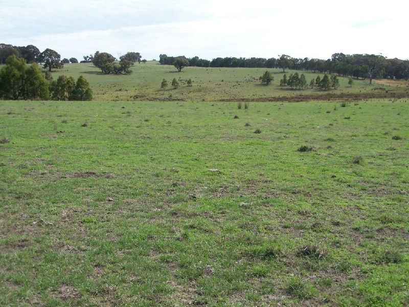 Peppermint Farm Bannister  Lane, Gurrundah NSW 2581