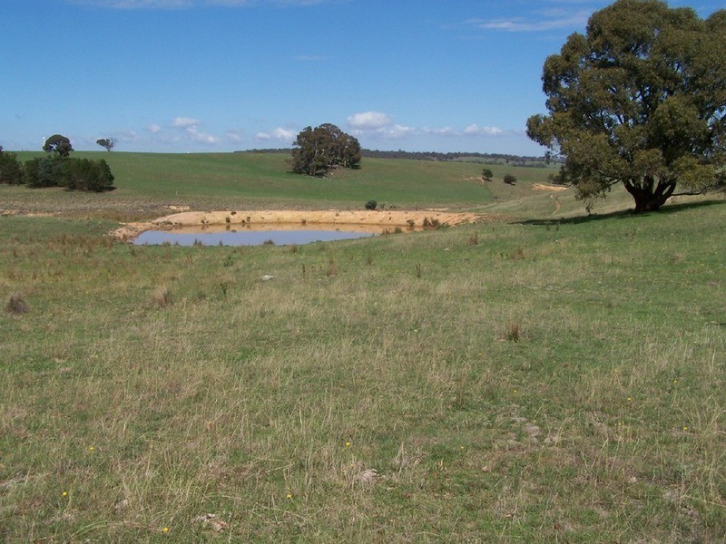 Peppermint Farm Bannister  Lane, Gurrundah NSW 2581
