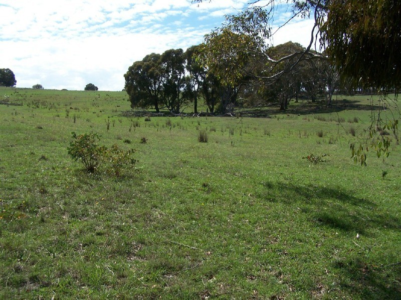 Peppermint Farm Bannister  Lane, Gurrundah NSW 2581