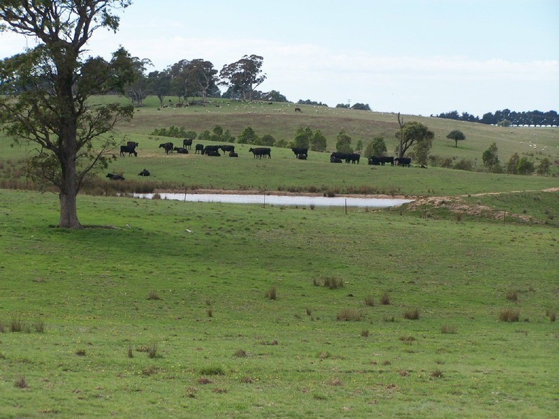 Peppermint Farm Bannister  Lane, Gurrundah NSW 2581