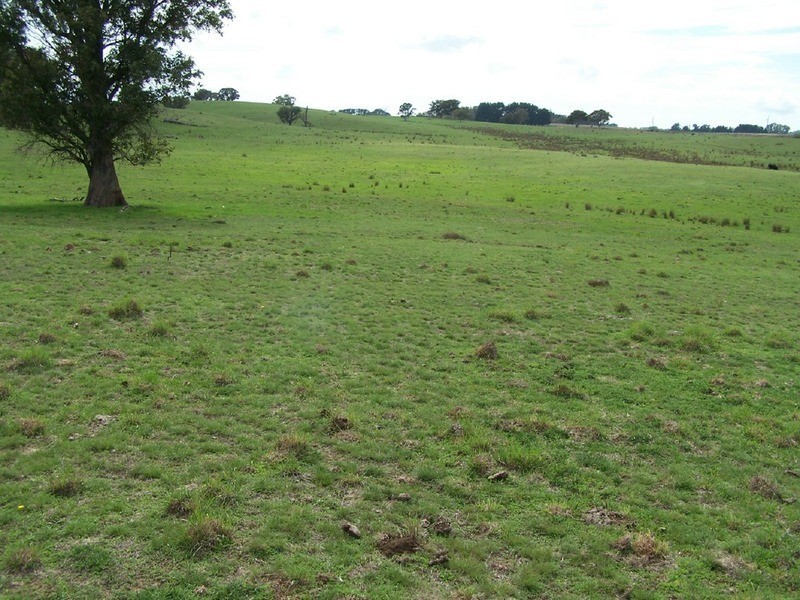 Peppermint Farm Bannister  Lane, Gurrundah NSW 2581