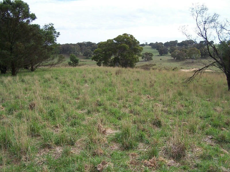 Peppermint Farm Bannister  Lane, Gurrundah NSW 2581
