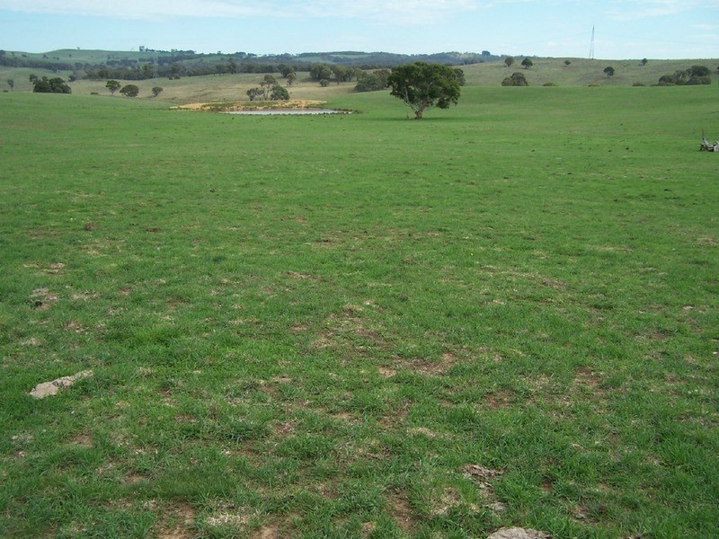 Peppermint Farm Bannister  Lane, Gurrundah NSW 2581