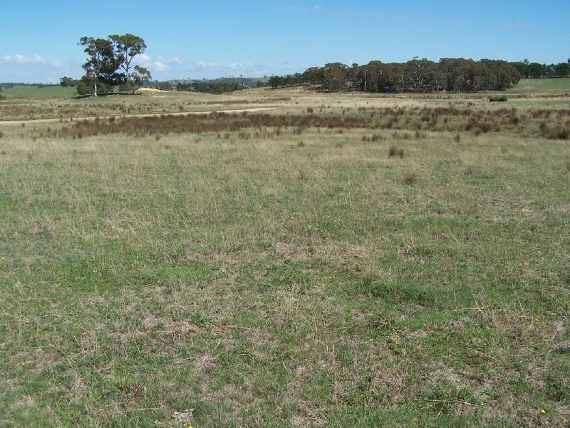 Peppermint Farm Bannister  Lane, Gurrundah NSW 2581
