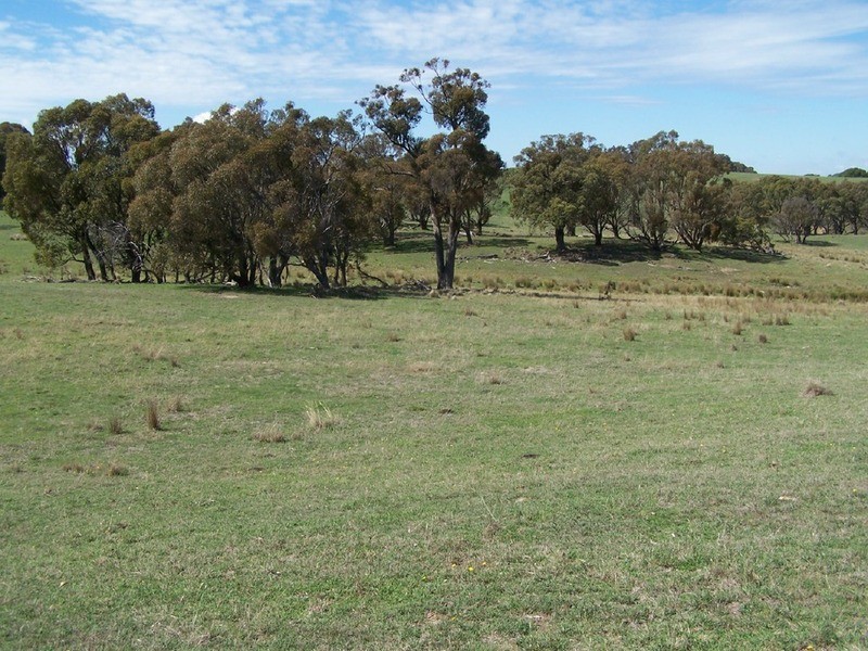 Peppermint Farm Bannister  Lane, Gurrundah NSW 2581
