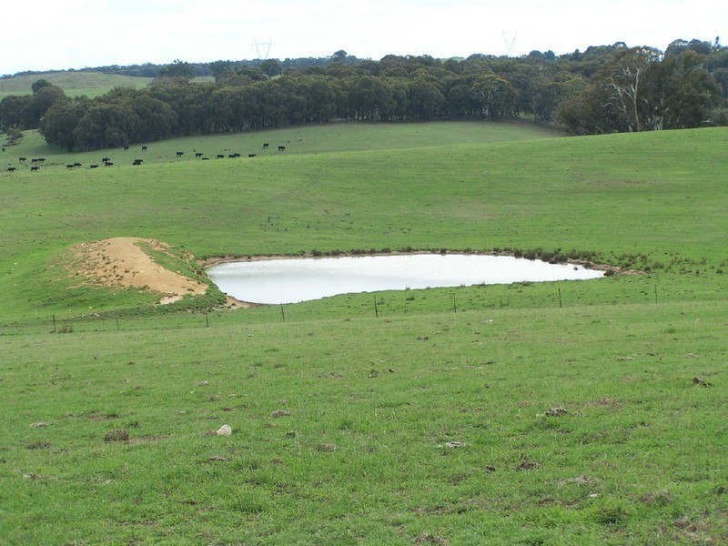Peppermint Farm Bannister  Lane, Gurrundah NSW 2581