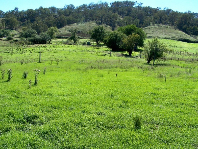 Lot 6 Cook Street, Tuena NSW 2583