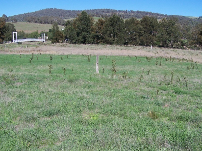 Lot 6 Cook Street, Tuena NSW 2583