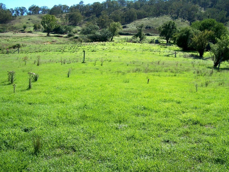 Lot 6 Cook Street, Tuena NSW 2583