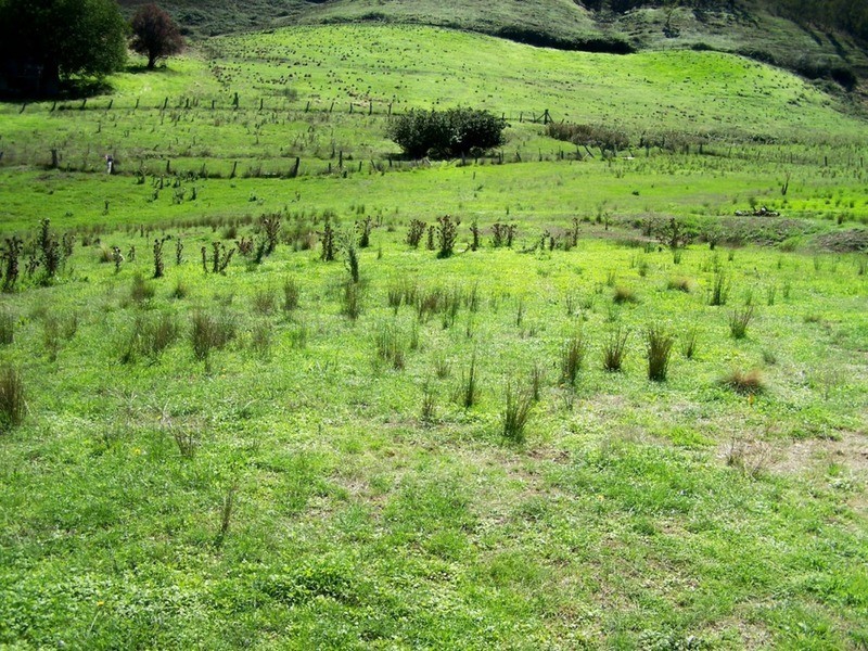 Lot 6 Cook Street, Tuena NSW 2583