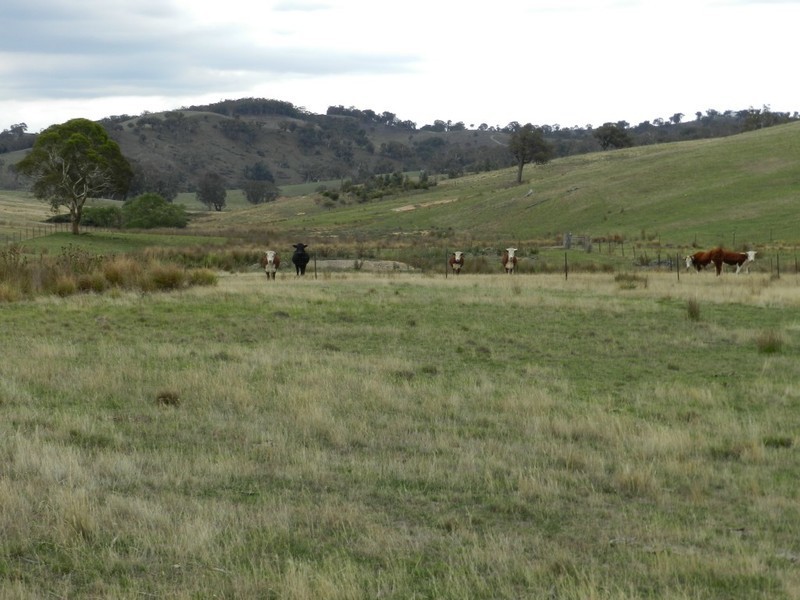 Lot 2 Karinya Road, Binda NSW 2583