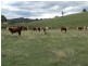 Lot 2 Karinya Road, Binda NSW 2583