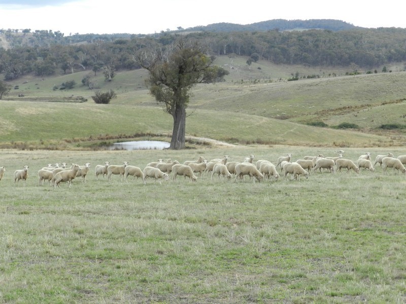 Lot 2 Karinya Road, Binda NSW 2583