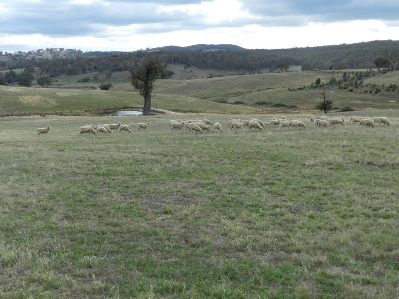 Lot 2 Karinya Road, Binda NSW 2583