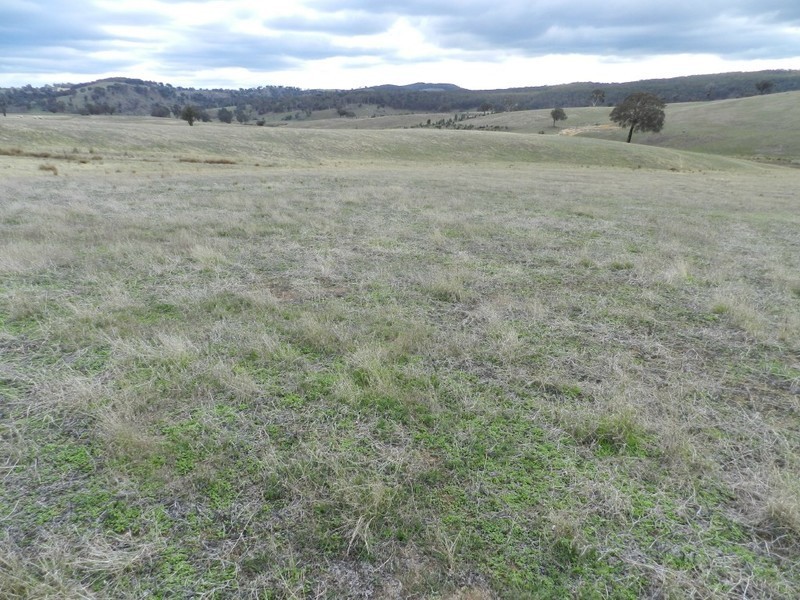 Lot 2 Karinya Road, Binda NSW 2583