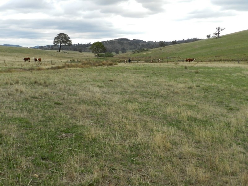 Lot 2 Karinya Road, Binda NSW 2583