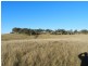 Woodburn North Hume Highway, Goulburn NSW 2580