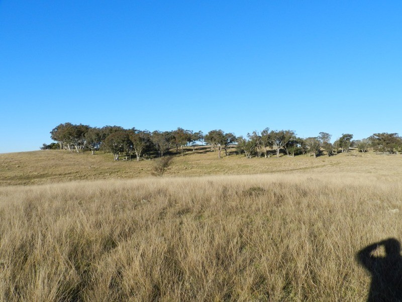 Woodburn North Hume Highway, Goulburn NSW 2580