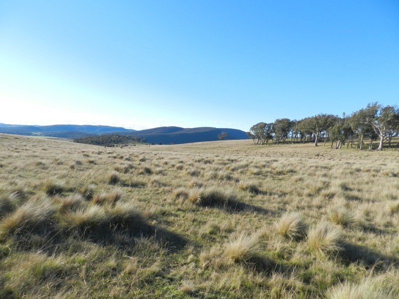 Woodburn North Hume Highway, Goulburn NSW 2580