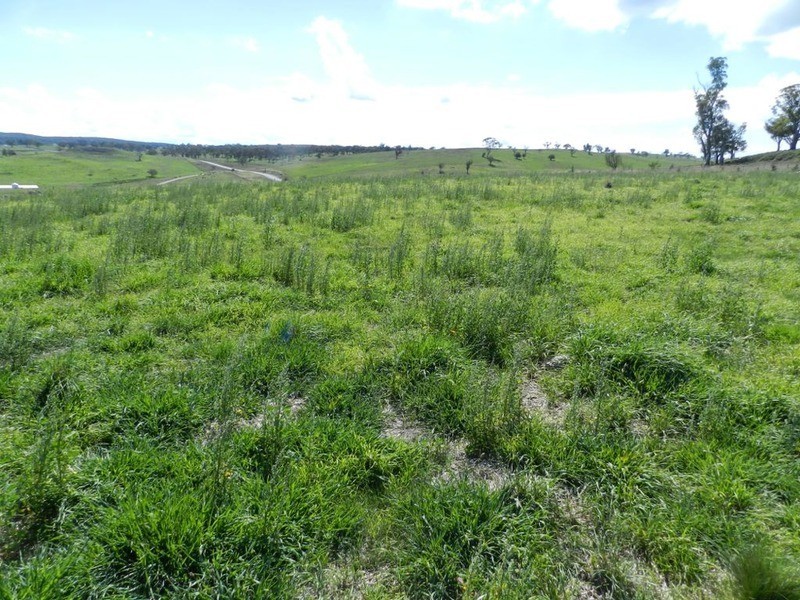 Lot 2 Rhyanna Road, Goulburn NSW 2580