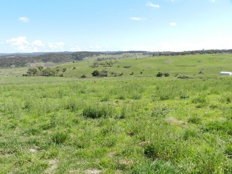 Lot 2 Rhyanna Road, Goulburn NSW 2580