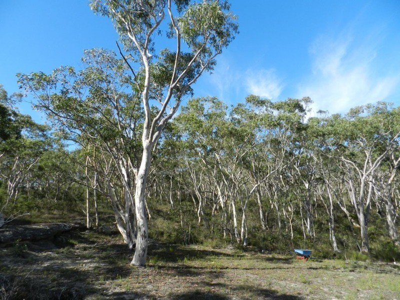 278 Mulwaree  Drive, Tallong NSW 2579