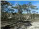 278 Mulwaree  Drive, Tallong NSW 2579