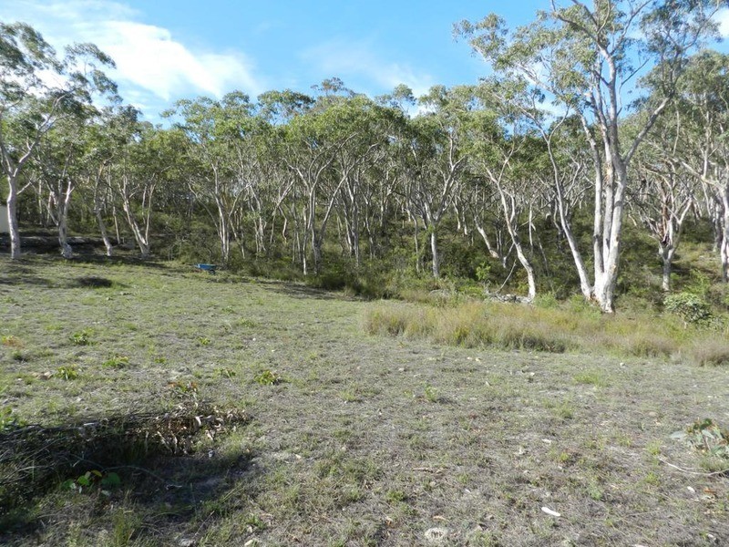 278 Mulwaree  Drive, Tallong NSW 2579