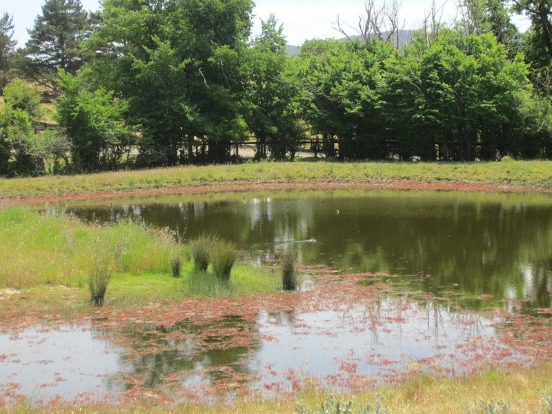 155 Range  Road, Goulburn NSW 2580