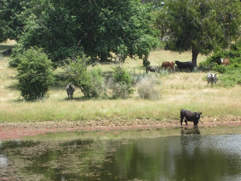 155 Range  Road, Goulburn NSW 2580