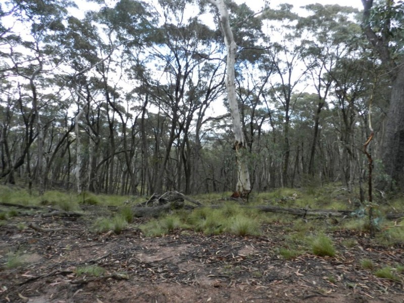 Lot 9 Jerrong Road, Taralga NSW 2580