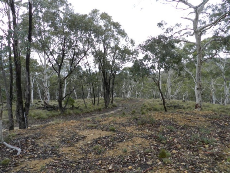 Lot 9 Jerrong Road, Taralga NSW 2580