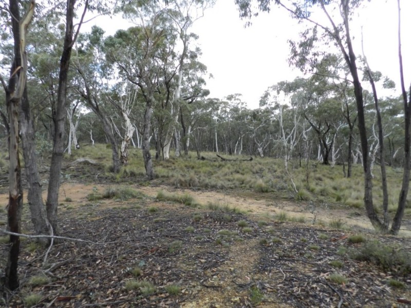 Lot 9 Jerrong Road, Taralga NSW 2580