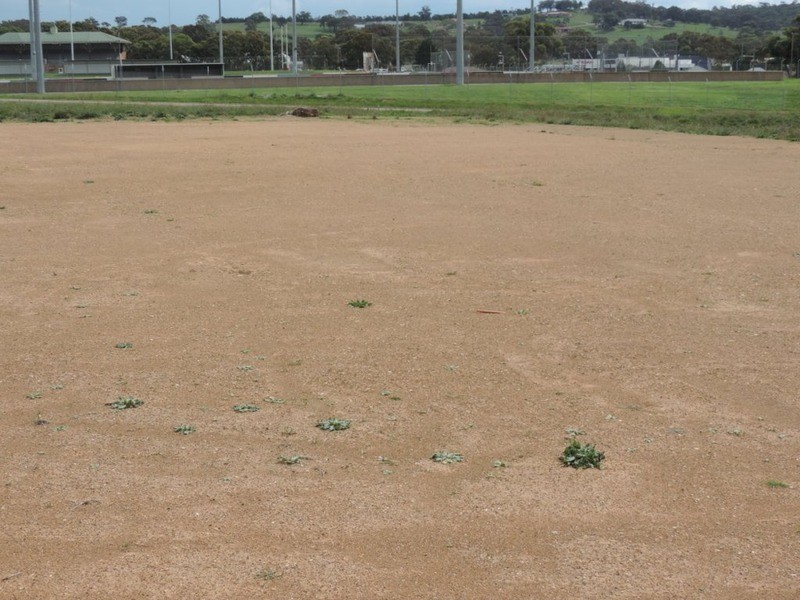 43 Tait Crescent, Goulburn NSW 2580