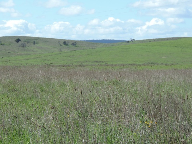 Lot 1 Roseview  Estate, Tarago NSW 2580