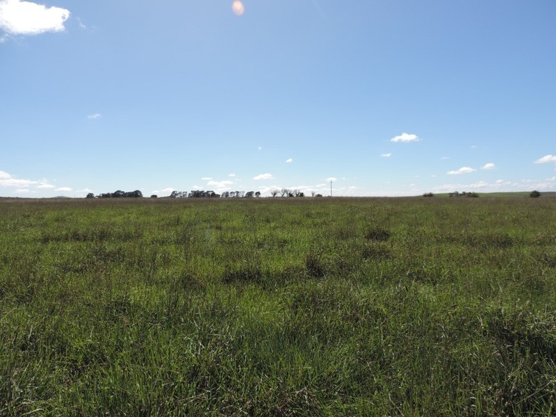 Lot 1 Roseview  Estate, Tarago NSW 2580