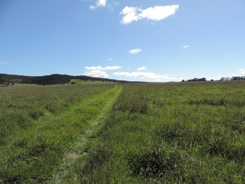 Lot 1 Roseview  Estate, Tarago NSW 2580