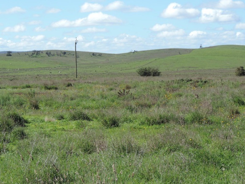 Lot 1 Roseview  Estate, Tarago NSW 2580