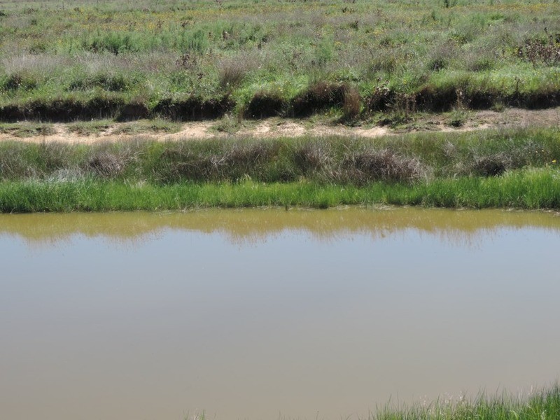 Lot 1 Roseview  Estate, Tarago NSW 2580