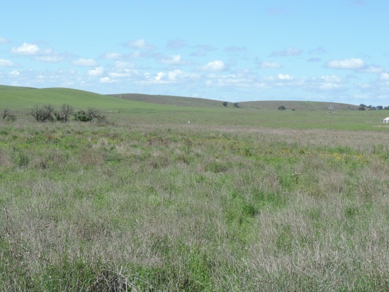 Lot 1 Roseview  Estate, Tarago NSW 2580