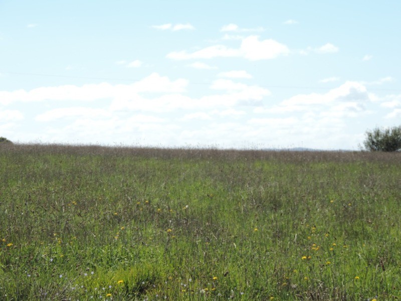 Lot 1 Roseview  Estate, Tarago NSW 2580