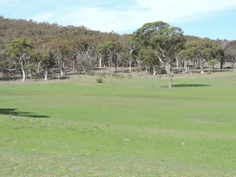 475 Thornford Road, Goulburn NSW 2580