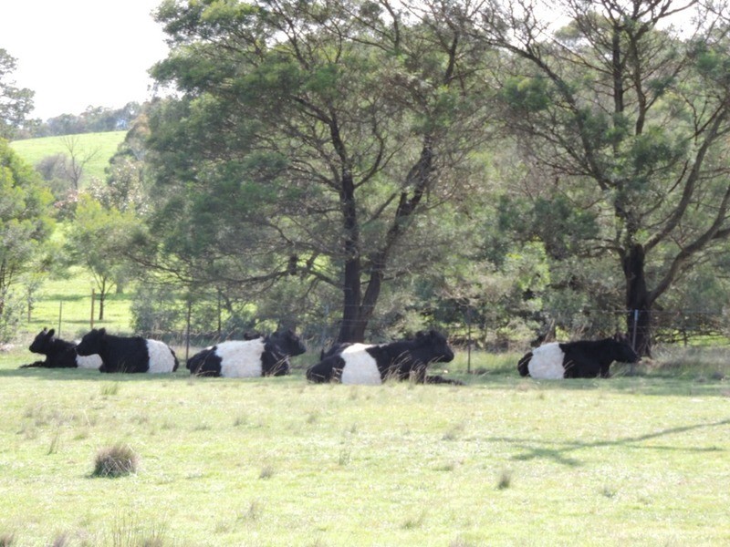 475 Thornford Road, Goulburn NSW 2580