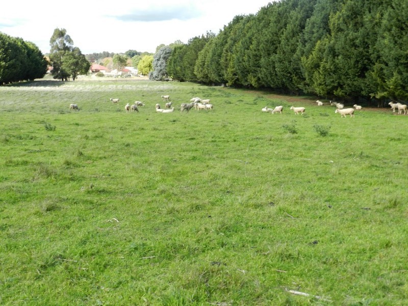 36 Kialla Road, Crookwell NSW 2583