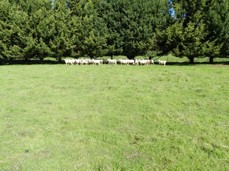 36 Kialla Road, Crookwell NSW 2583
