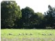 36 Kialla Road, Crookwell NSW 2583