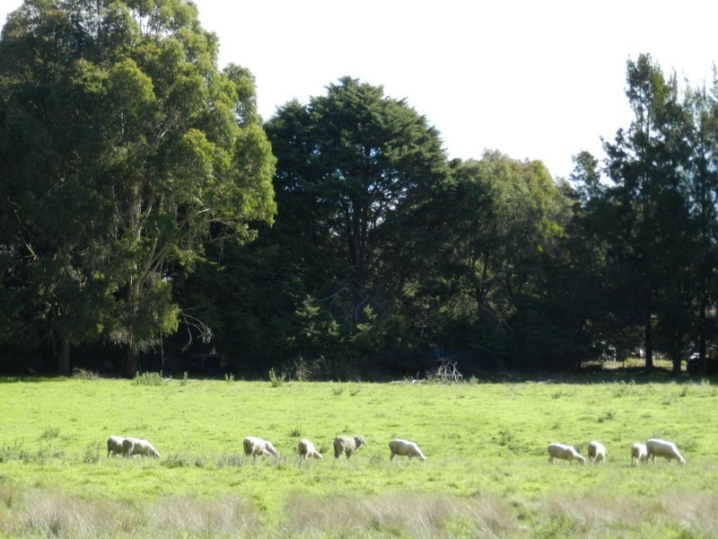 36 Kialla Road, Crookwell NSW 2583