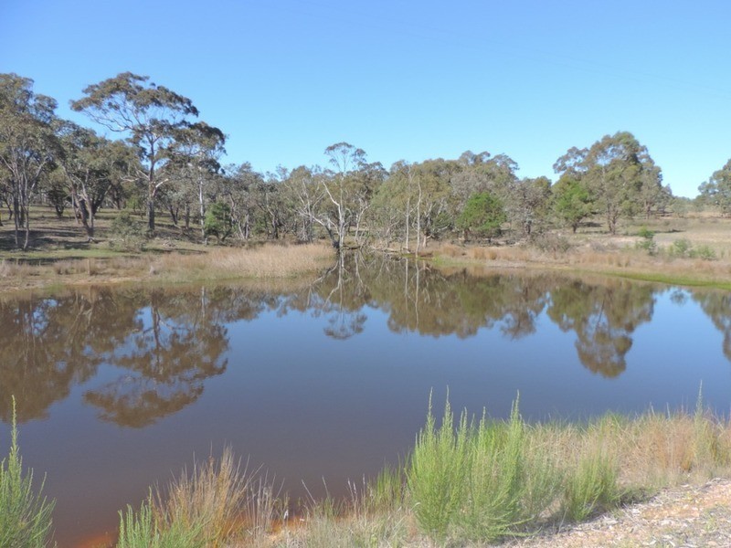 215 Carrick Road, Goulburn NSW 2580